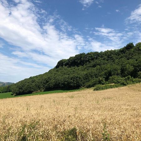 Agriturismo L'Esinante Cupramontana Kültér fotó