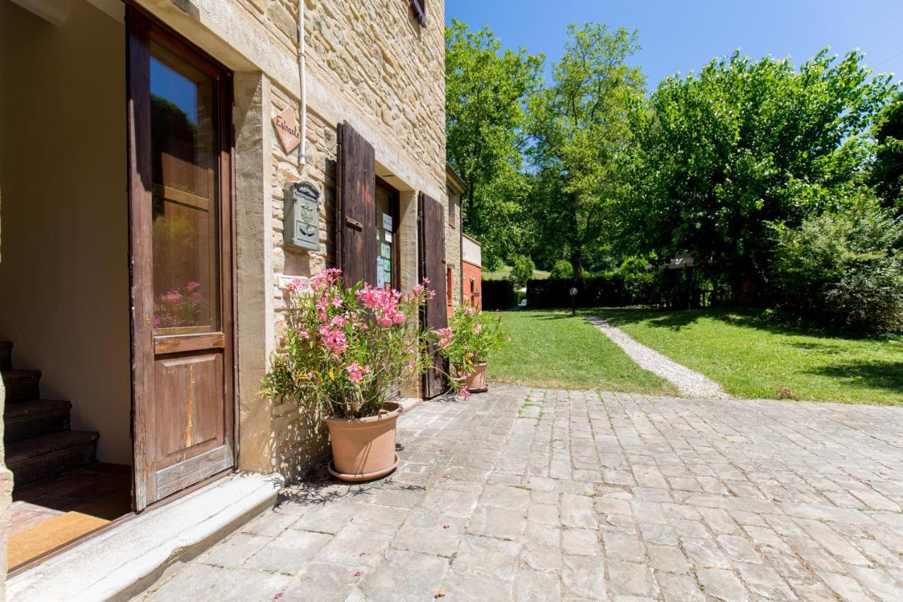 Agriturismo L'Esinante Cupramontana Kültér fotó