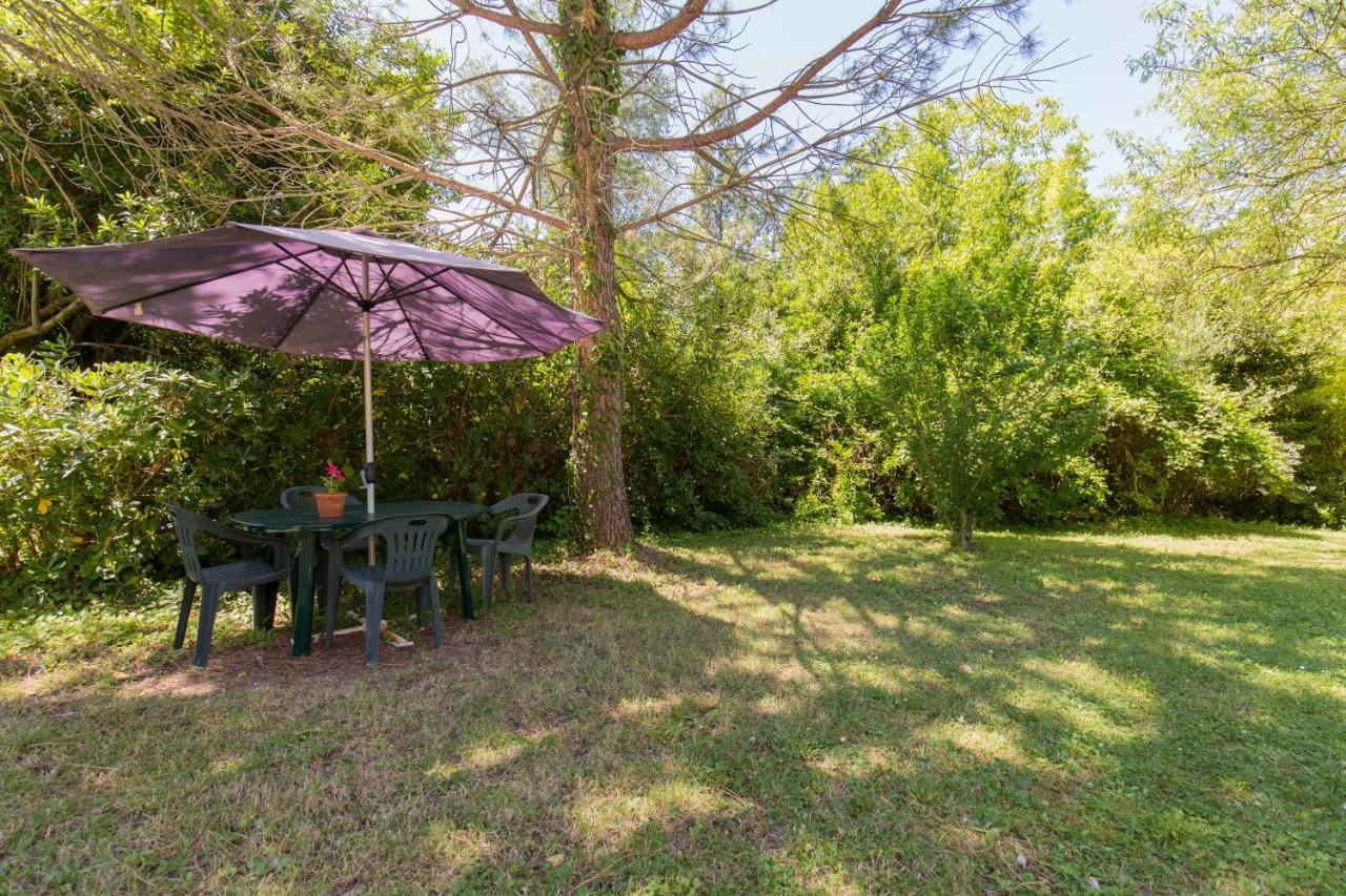 Agriturismo L'Esinante Cupramontana Kültér fotó