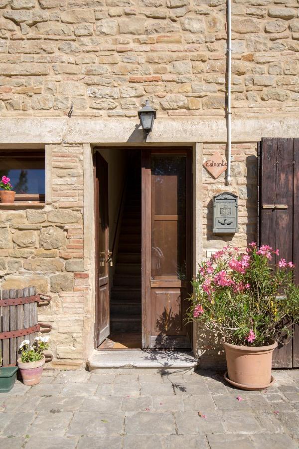 Agriturismo L'Esinante Cupramontana Kültér fotó