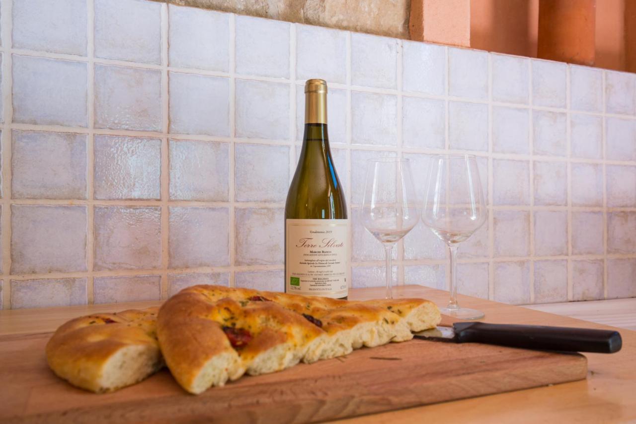 Agriturismo L'Esinante Cupramontana Kültér fotó