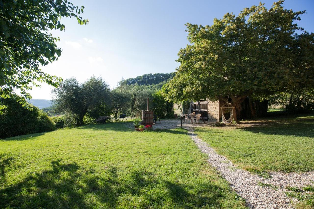 Agriturismo L'Esinante Cupramontana Kültér fotó