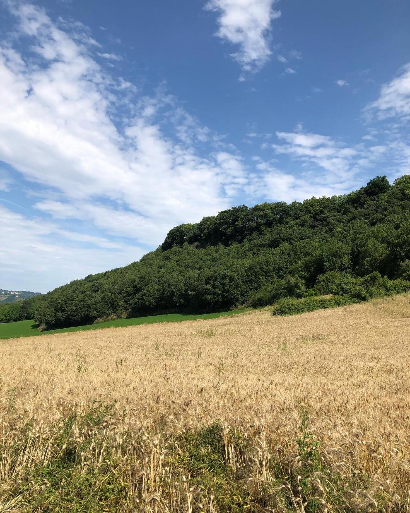 Agriturismo L'Esinante Cupramontana Kültér fotó